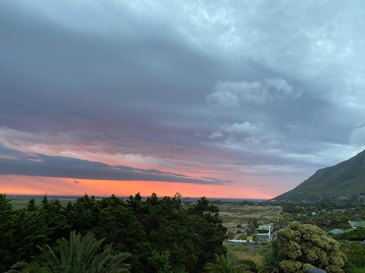 Wild Rose Country Lodge Noordhoek Eksteriør billede